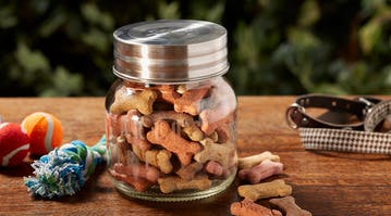 Dog treat outlet mason jar